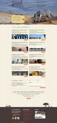 sito-internet-responsive-african-path.png